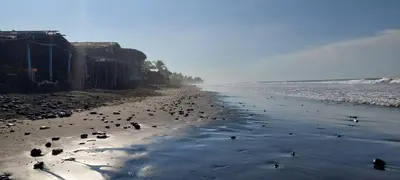 a flock of birds standing on a beach at LA CASONA SV Hostal in La Libertad