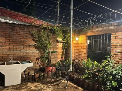 a brick wall with plants in a courtyard at Entre tejas in Concepción de Ataco