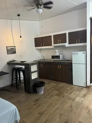 a kitchen with wooden cabinets and a white refrigerator at INGRID LOFTS in La Unión
