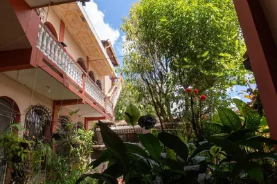 a building with plants in front of it at Hostal Delmy in Suchitoto