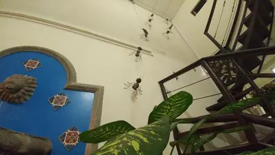 a room with insects on the wall and a staircase at Hotel Armonía Hostal in San Salvador