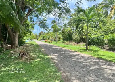 a cobblestone road with palm trees on either side at Las Veraneras Villa - Pet Friendly in Acajutla