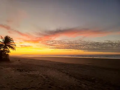 a palm tree on a beach with a sunset at Bella Vista Hotel Boutique in San Miguel