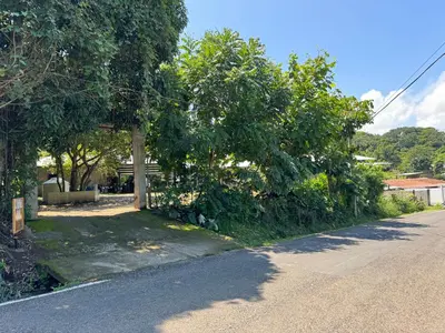 a street with trees on the side of a road at El mangal B&B in Suchitoto