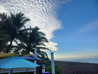 a view of a beach with palm trees and the ocean at MARDEORO BEACH HOUSE in Barra de Santiago