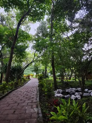 a brick path in a park with trees at Bosko cerro verde in Lomas de San Marcelino