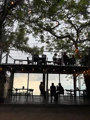 a group of people sitting at tables under a tree at Bosko cerro verde in Lomas de San Marcelino