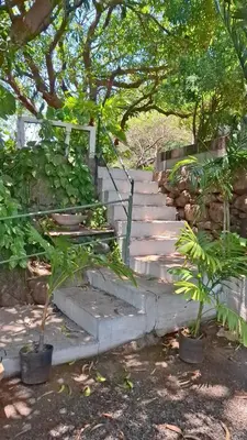 a set of stairs with plants in pots at Casita Escondida- El Salvador in La Libertad