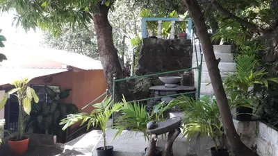a garden with a chair and a tree and stairs at Casita Escondida- El Salvador in La Libertad