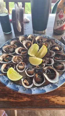 a plate of oysters and limes on a table at Jaco Mizata Beach and River in La Libertad