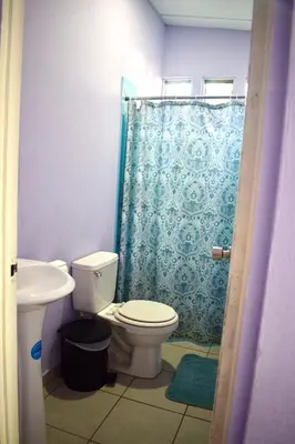 a bathroom with a toilet and a blue shower curtain at Volcano Hostal y Restaurante in San Salvador