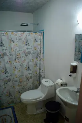 a bathroom with a toilet and a shower curtain at Volcano Hostal y Restaurante in San Salvador