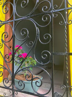 a gate with a potted plant in a window at Hostal El Amate #2 in Suchitoto