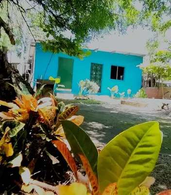 a blue house with a plant in front of it at costa azul apartment el zonte in La Libertad