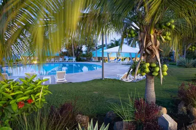 a palm tree in front of a swimming pool at Atami Escape Resort in La Libertad