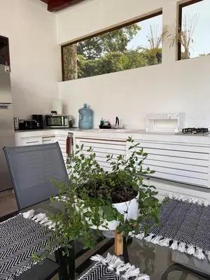 a kitchen with a table with a potted plant at 1 Family Pool Villa BBQ PARKING EL SUNZAL Surf City Area in El Sunzal