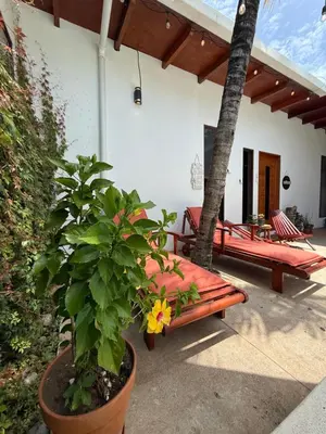 a patio with a bench and a plant and a house at 3 Family Villa Private Pool Parking BBQ El Sunzal El Tunco El Zonte SURFCITY in Tamanique