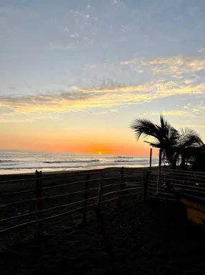 a sunset on the beach with a palm tree at Surf House Mizata in Santa María Mizata