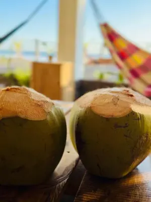 a close up of two coconuts sitting on a table at Surf House Mizata in Santa María Mizata