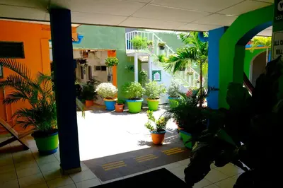 a group of potted plants inront of a building at Hostal Casa Verde in Santa Ana