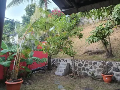 a group of trees and plants in a yard at Buena Vista Home in Nueva San Salvador