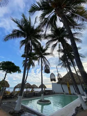 a resort with palm trees and a swimming pool at Barú in La Libertad