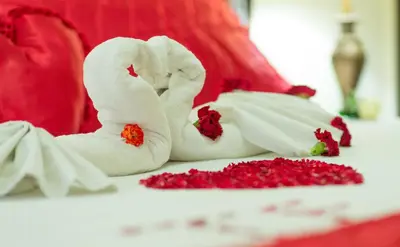 a couple of towel animals sitting on a table at Hotel Tropico Inn in San Miguel