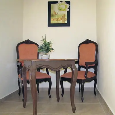 a wooden table with two chairs and a plant on it at Hotel Tropico Inn in San Miguel