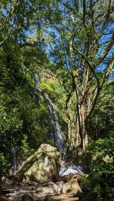 a painting of a waterfall in a forest at Hotel Anáhuac in Juayúa