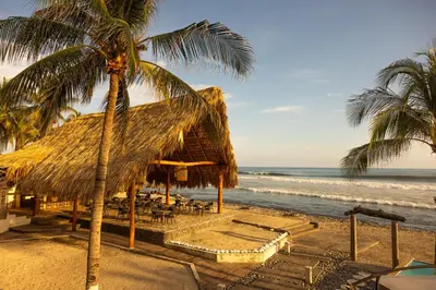 a beach with a palm tree and chairs and the ocean at The rooftop Beach & club in La Libertad