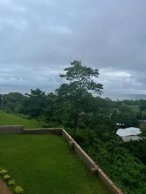 a green field with a tree and a body of water at Rancho Agua Fria in Jucuarán