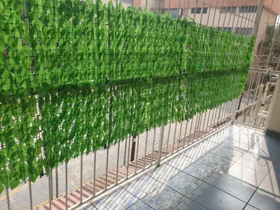 a fence with green ivy on the side of a building at Isabela´s Quality Accommodation in San Salvador