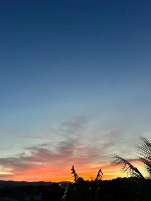 a sunset with a palm tree in the foreground at Cielo lindo in Ahuachapán
