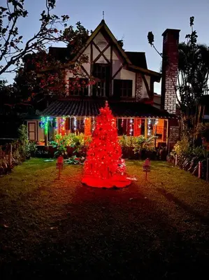 a christmas tree in the yard of a house at Casa Villas Suizas I cerca de Laberinto de Albania in Apaneca
