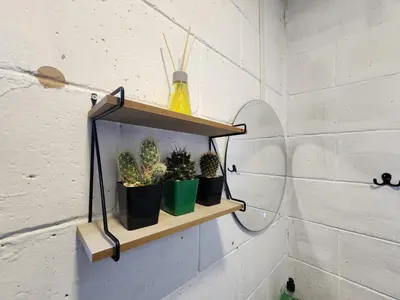 a shelf with three plants on a wall at Las Palmeritas in Ahuachapán