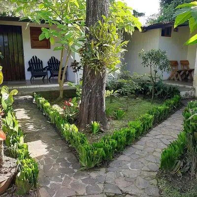 a tree in the middle of a garden at San Fernando in Concepción de Ataco