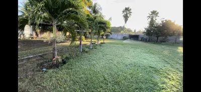 a yard with palm trees and a house at Quinta Temiki in San Pedro Masahuat