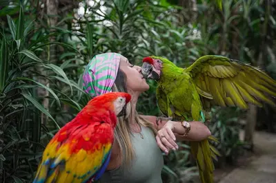 a woman with two parrots and a bird at Hotel y Restaurante Alicante de Montaña, El Salvador in Los Tablones