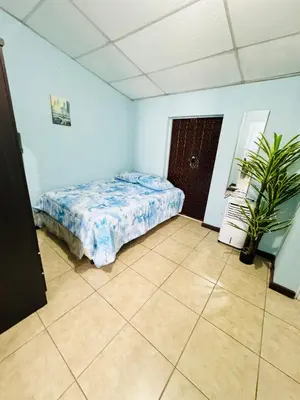 a bedroom with a bed and a plant in it at Santa Ana, Close to Cathedral in Santa Ana