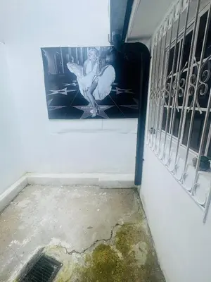 Gallery image of Monroe House in San Salvador