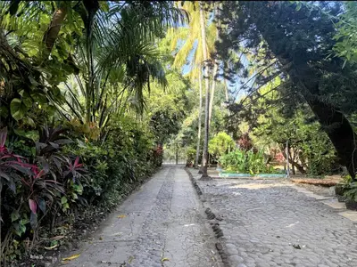 a cobblestone street in a park with palm trees at Hostal Tia Reyna in El Zonte