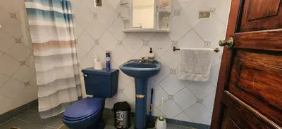 a bathroom with a blue toilet and a sink at D Origen House APANECA in Apaneca