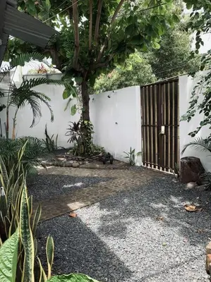a garden with a tree and a white wall at Casa Maracuyá in La Libertad