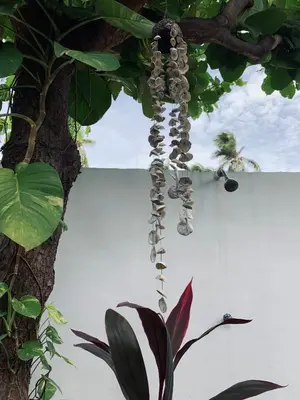 a tree with a bunch of ornaments hanging from it at Casa Maracuyá in La Libertad
