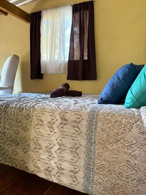 a bedroom with a bed with blue pillows and a window at Cabaña privada en Los Naranjos in Los Naranjos