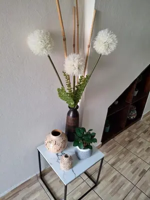 a table with a vase and some plants on it at Casa Centro Histórico Santa Ana in Santa Ana