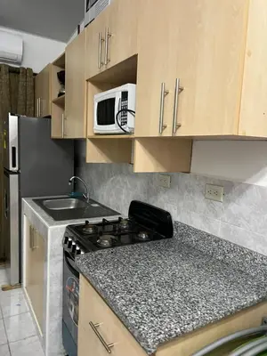 a small kitchen with a stove and a microwave at Tu Hogar Encantado Casa Entera con dos Habitaciones in San Miguel