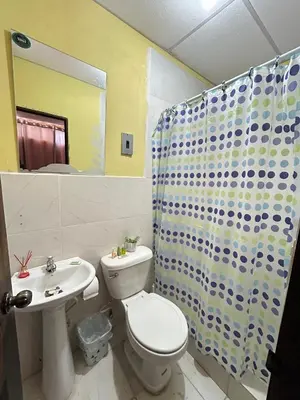 a bathroom with a toilet and a sink and a shower at 1961 Los Naranjos Hostal in Los Naranjos