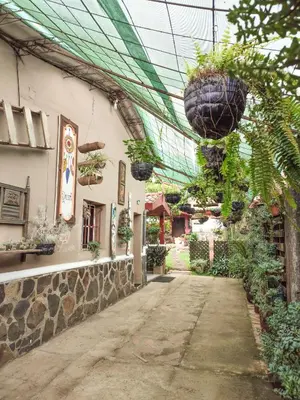 an alley with potted plants hanging from a building at 1961 Los Naranjos Hostal in Los Naranjos