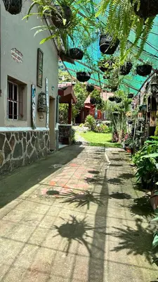 a shadow of a tree on a sidewalk next to a building at 1961 Los Naranjos Hostal in Los Naranjos